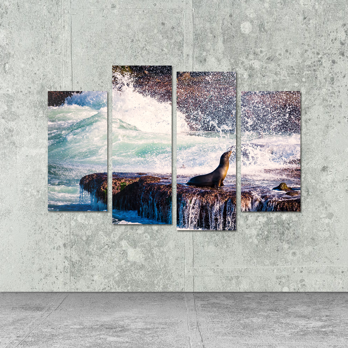 Sea Lion Surf La Jolla Wall Art