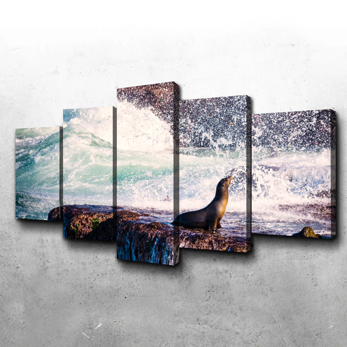 Sea Lion Surf La Jolla Wall Art