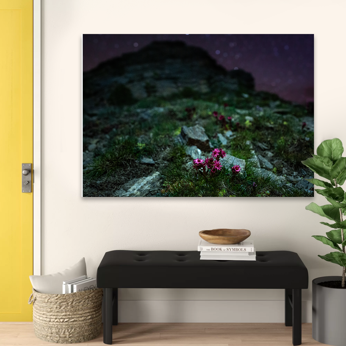 Star Studded Joubarbe Wall Art
