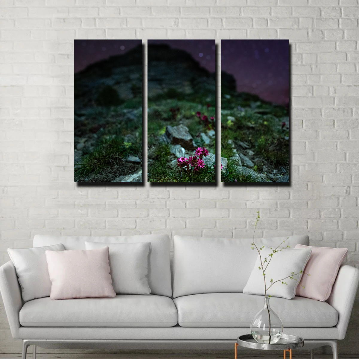 Star Studded Joubarbe Wall Art
