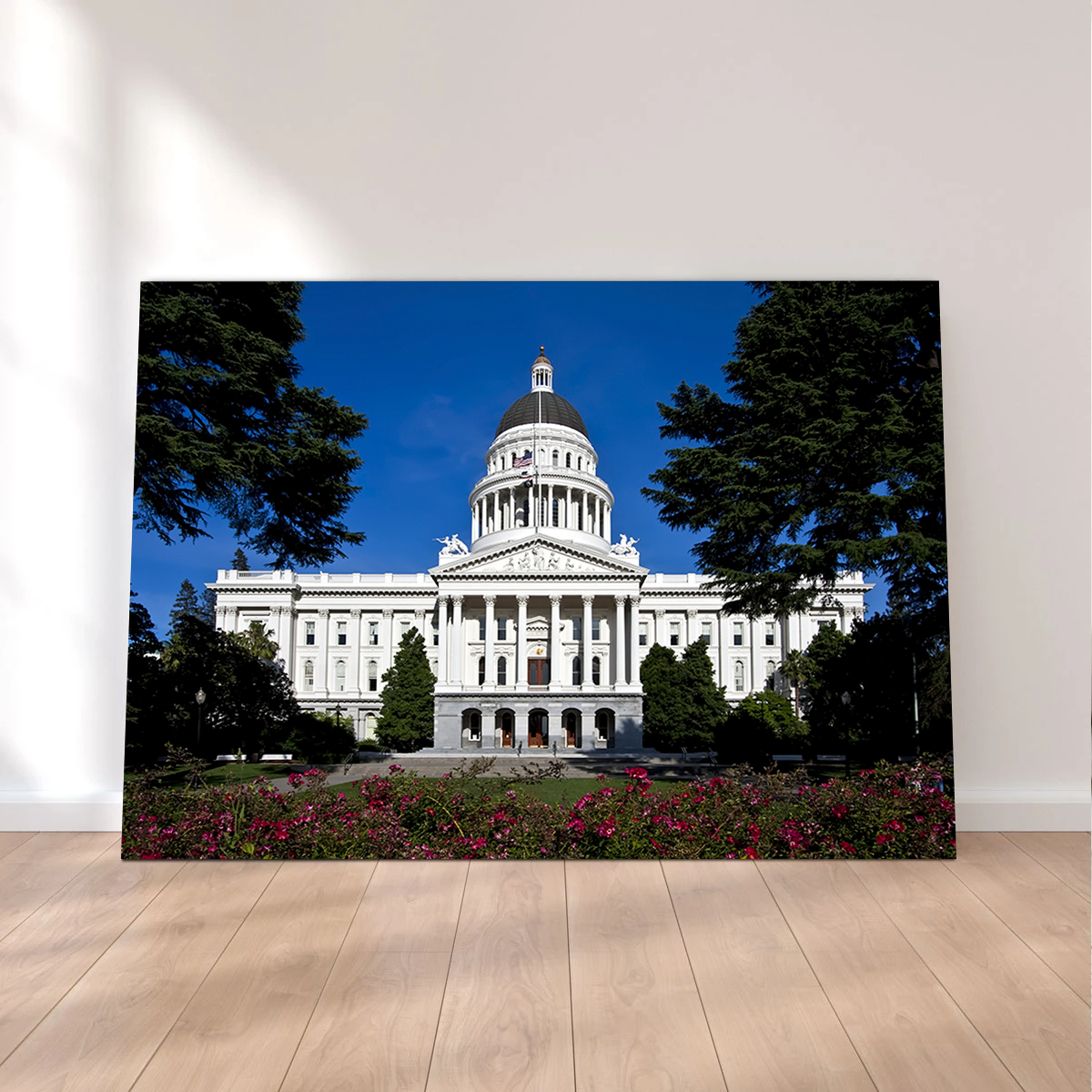 State Capitol Sacramento Wall Art
