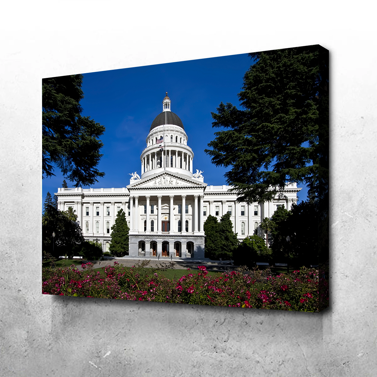 State Capitol Sacramento Wall Art