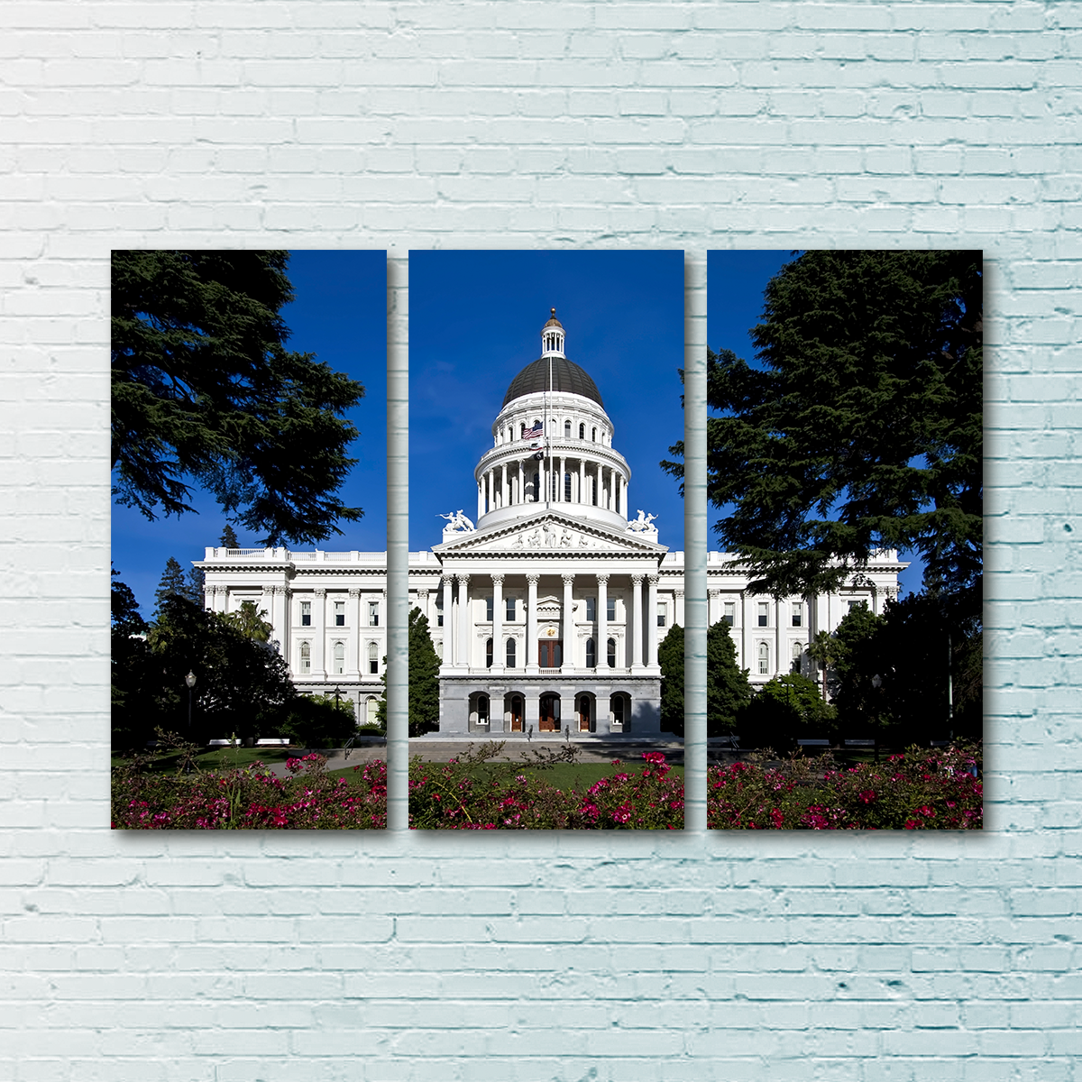 State Capitol Sacramento Wall Art