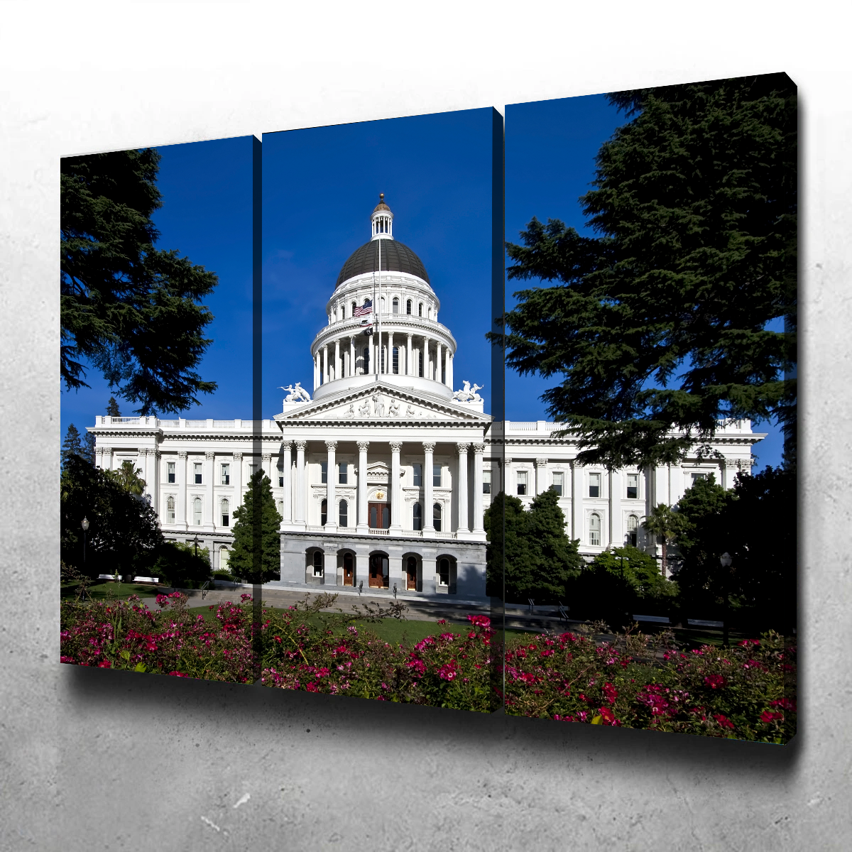 State Capitol Sacramento Wall Art