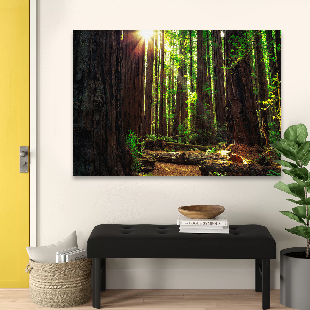Sunrise in the Redwoods Wall Art