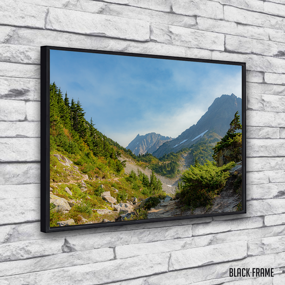 Treeline at Cascade Pass Wall Art