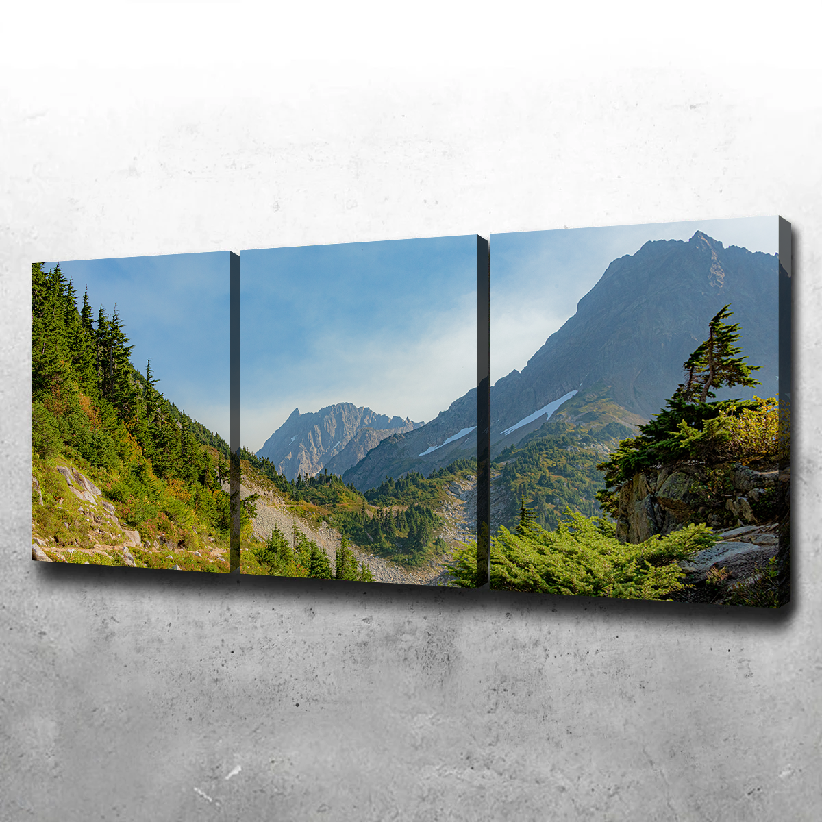 Treeline at Cascade Pass Wall Art