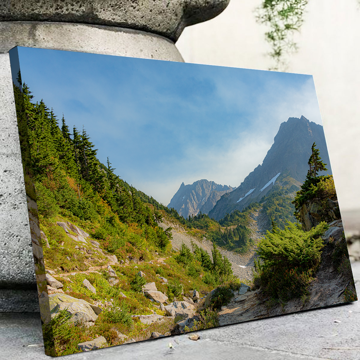 Treeline at Cascade Pass Wall Art
