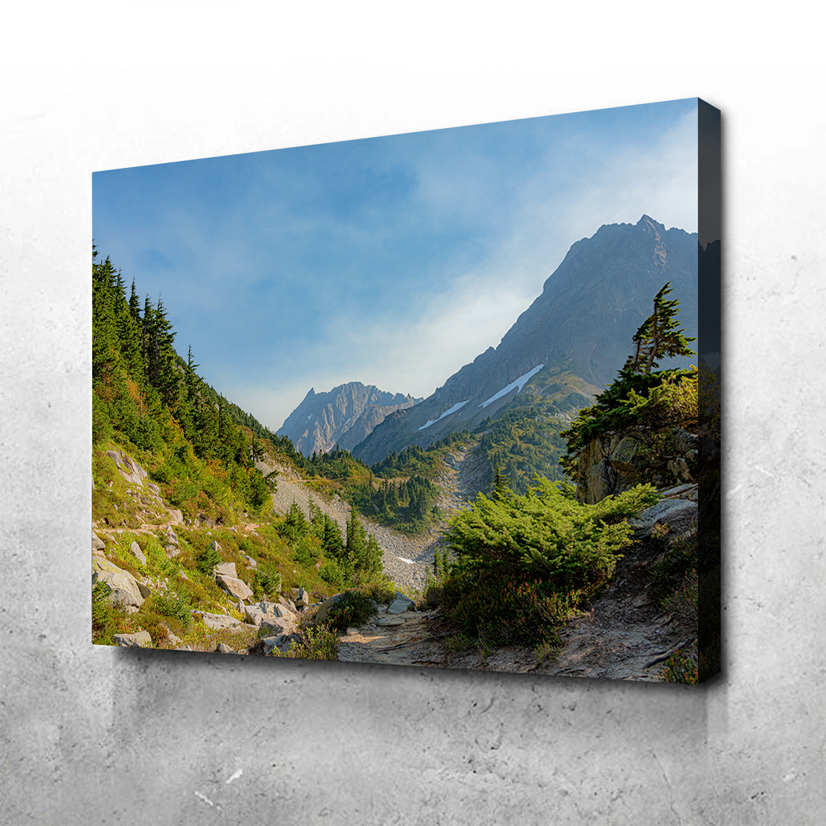 Treeline at Cascade Pass Wall Art