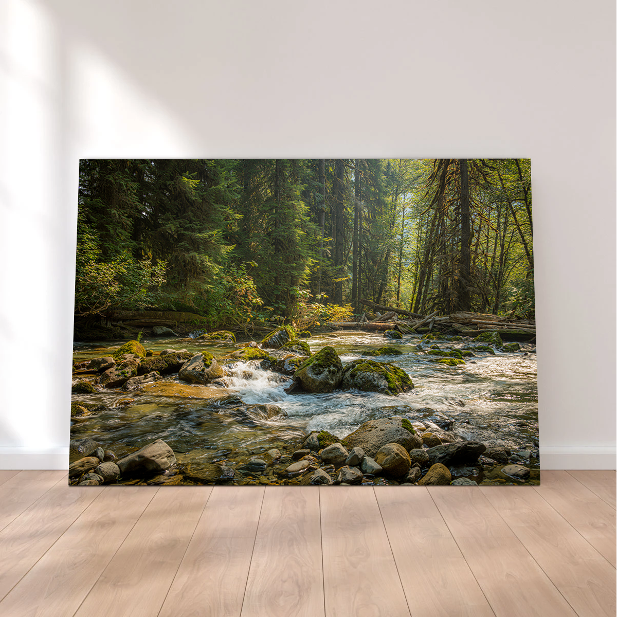 Cascade River Wall Art