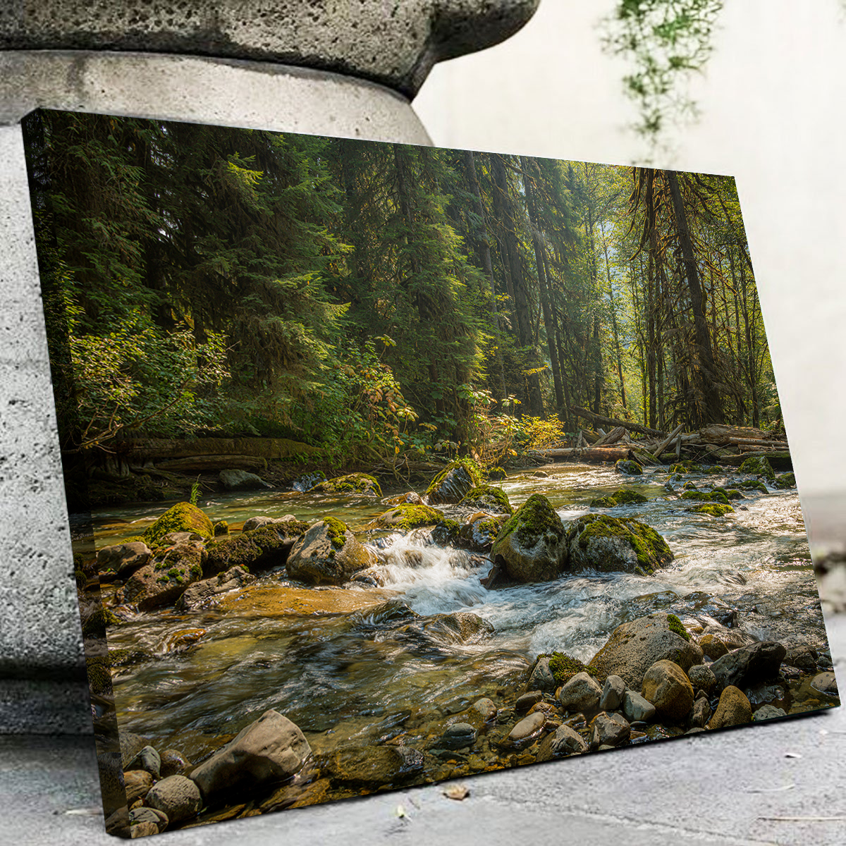 Cascade River Wall Art