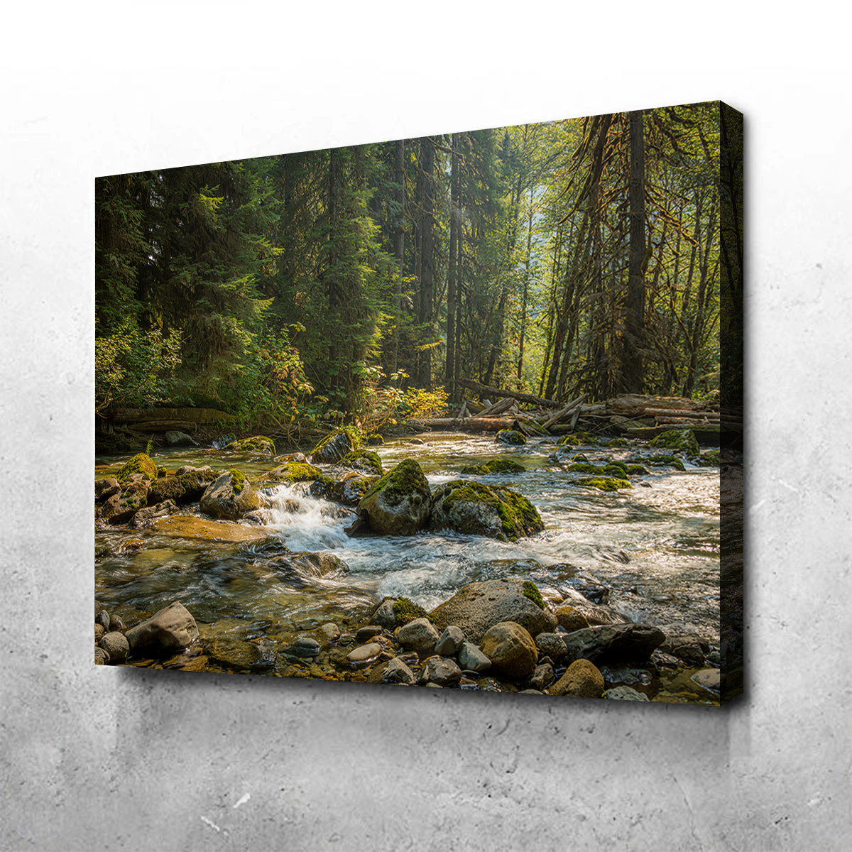 Cascade River Wall Art