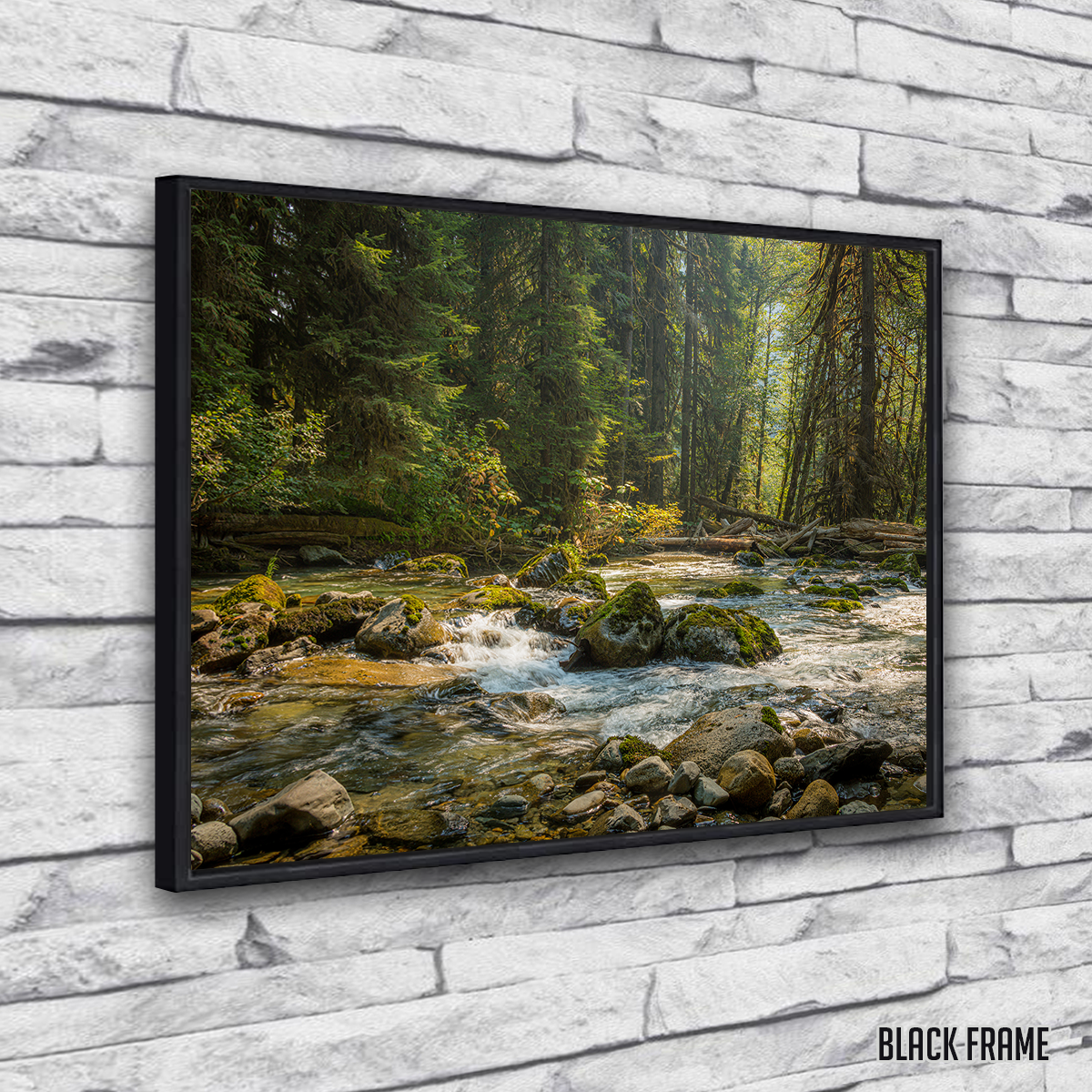 Cascade River Wall Art