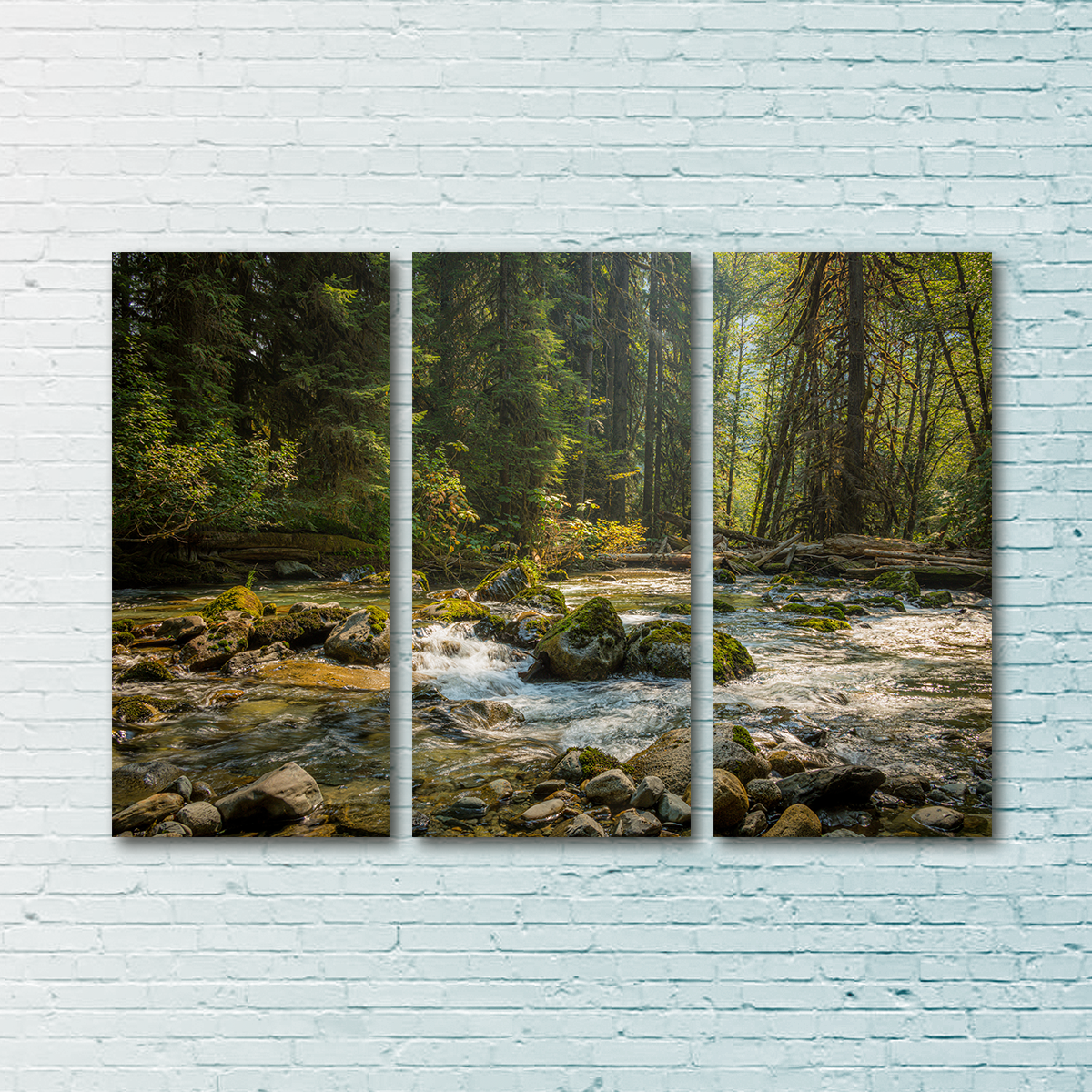 Cascade River Wall Art