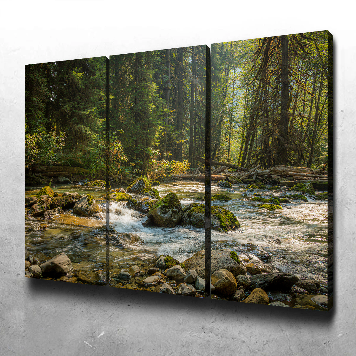 Cascade River Wall Art