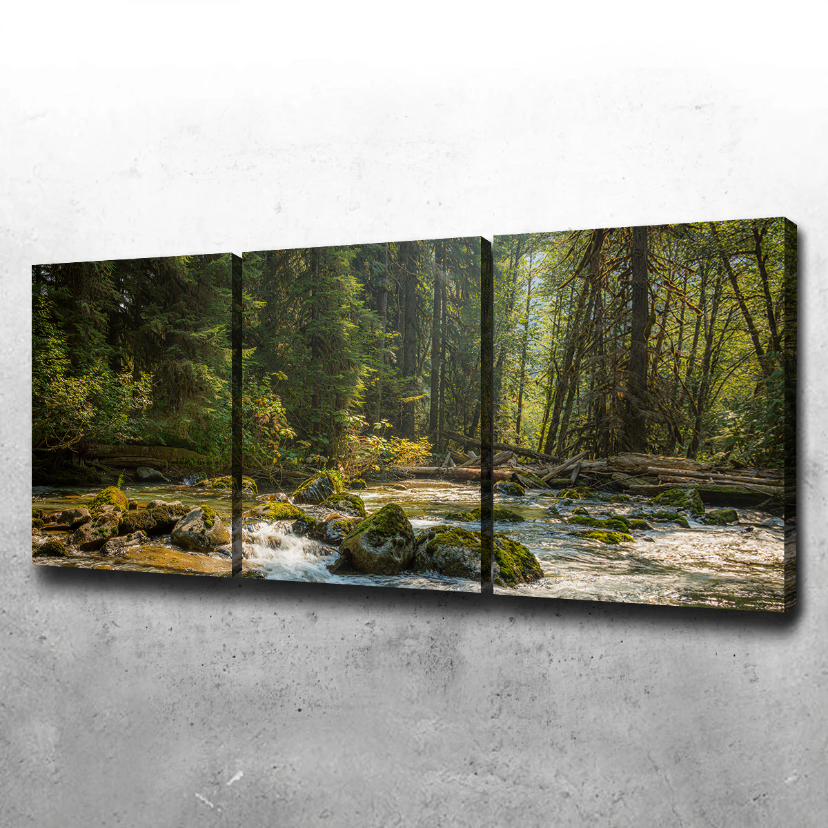 Cascade River Wall Art