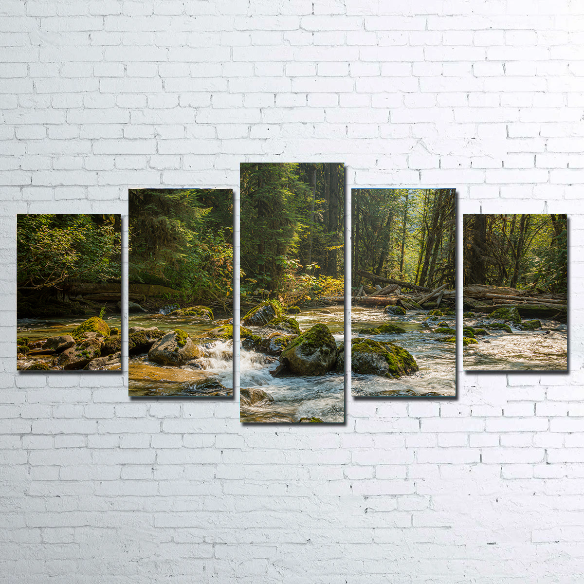 Cascade River Wall Art