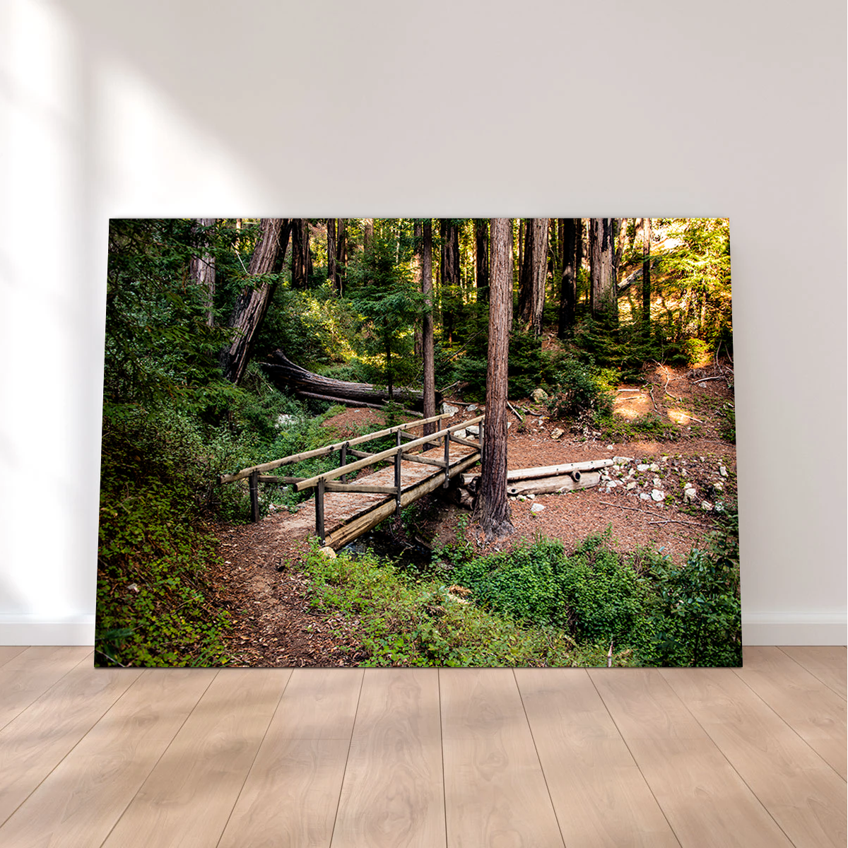 Ewoldsen Loop Bridge Wall Art