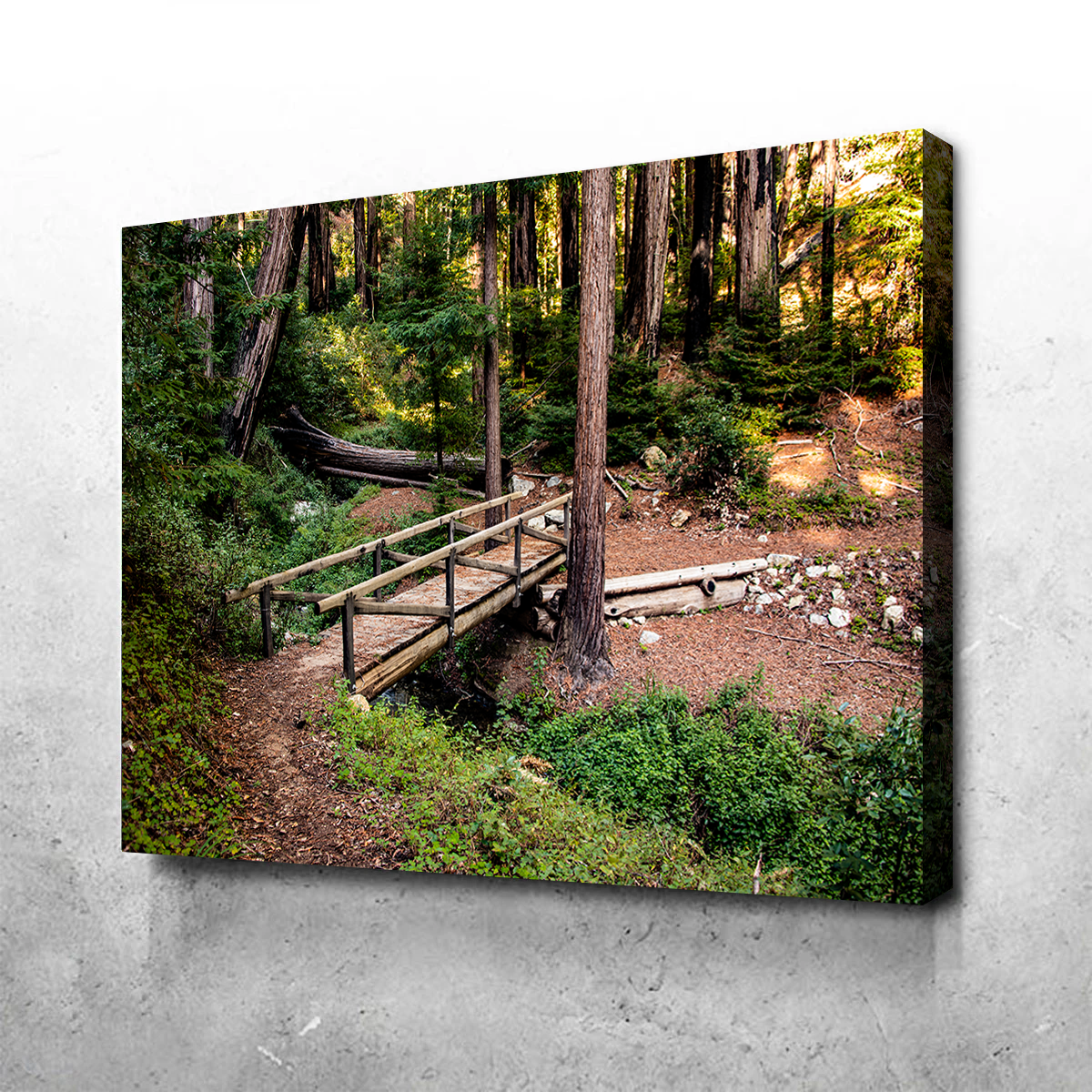 Ewoldsen Loop Bridge Wall Art