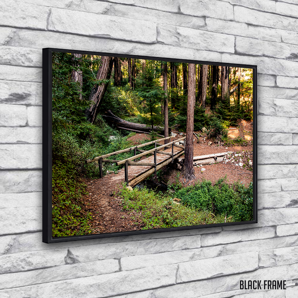 Ewoldsen Loop Bridge Wall Art