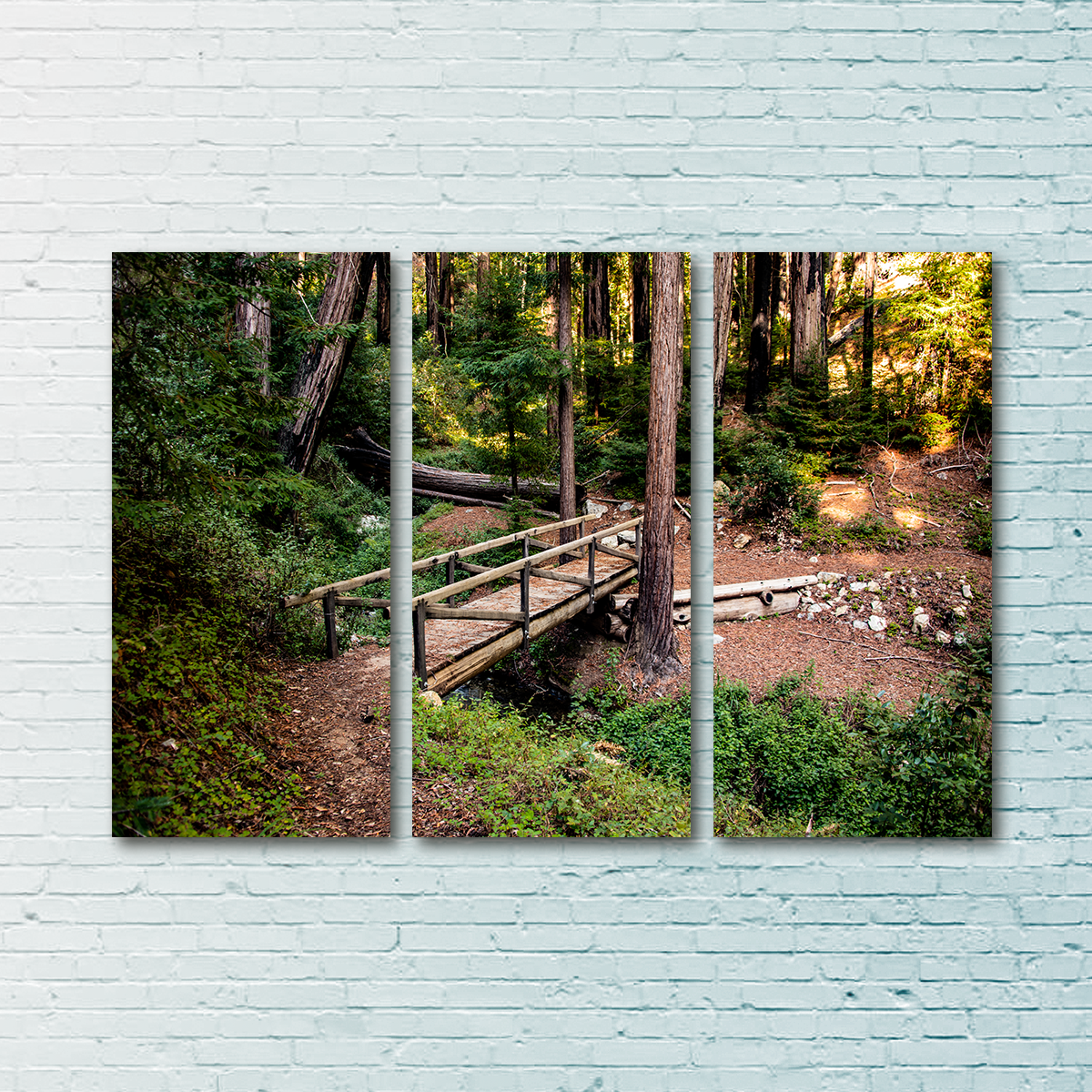 Ewoldsen Loop Bridge Wall Art