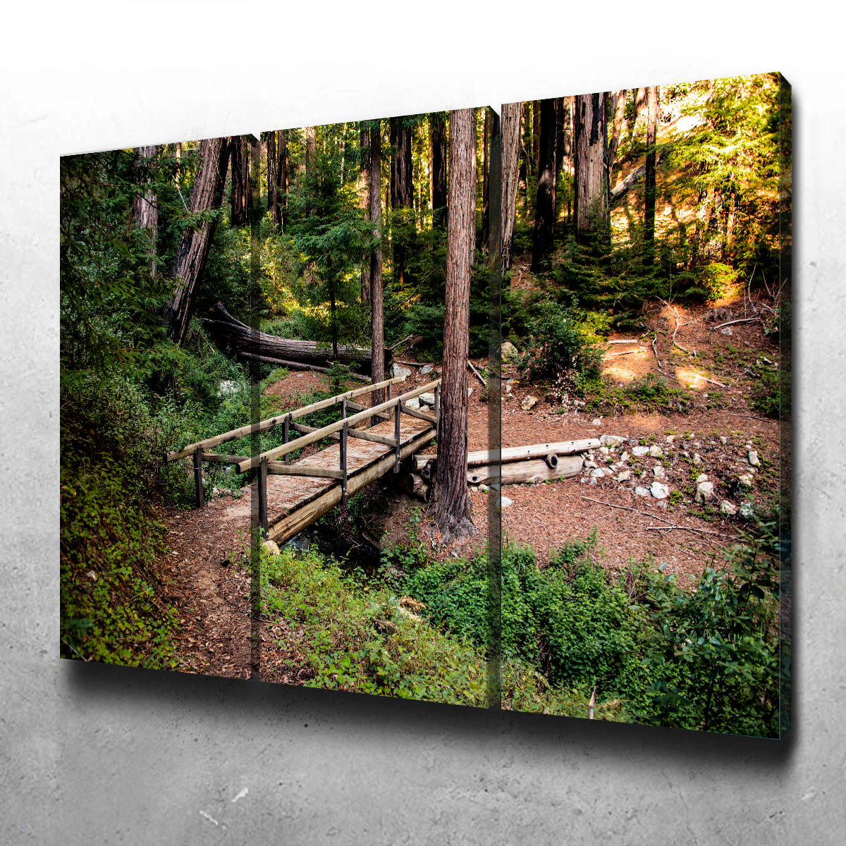 Ewoldsen Loop Bridge Wall Art