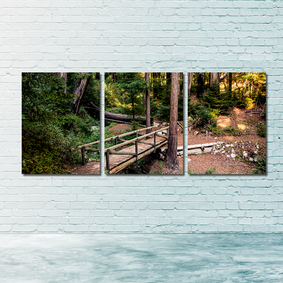 Ewoldsen Loop Bridge Wall Art