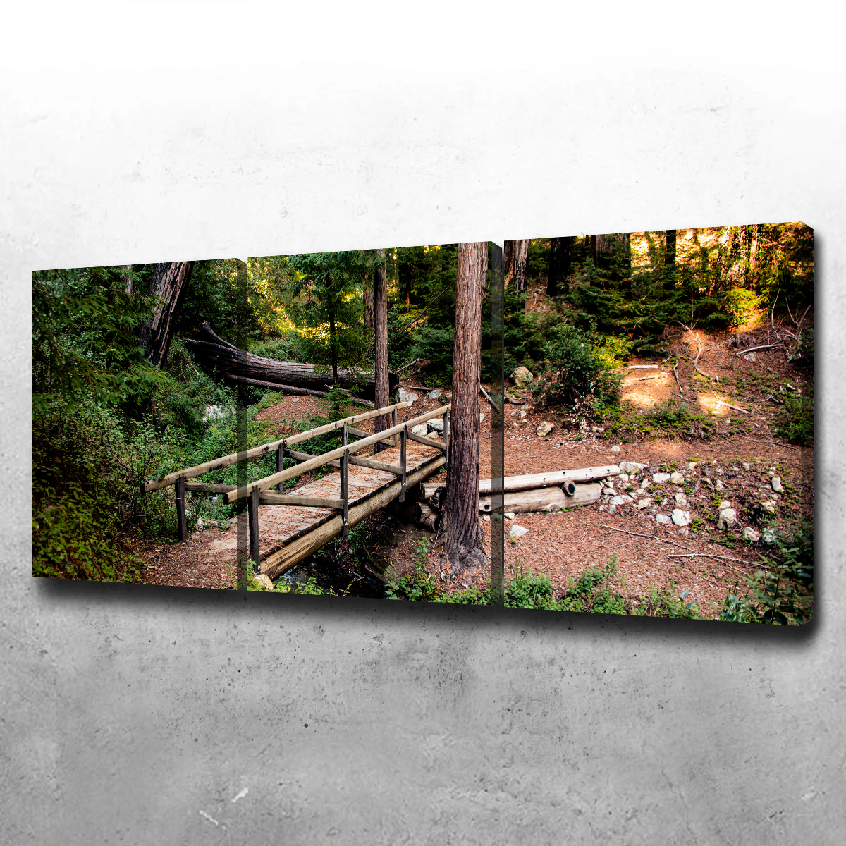 Ewoldsen Loop Bridge Wall Art