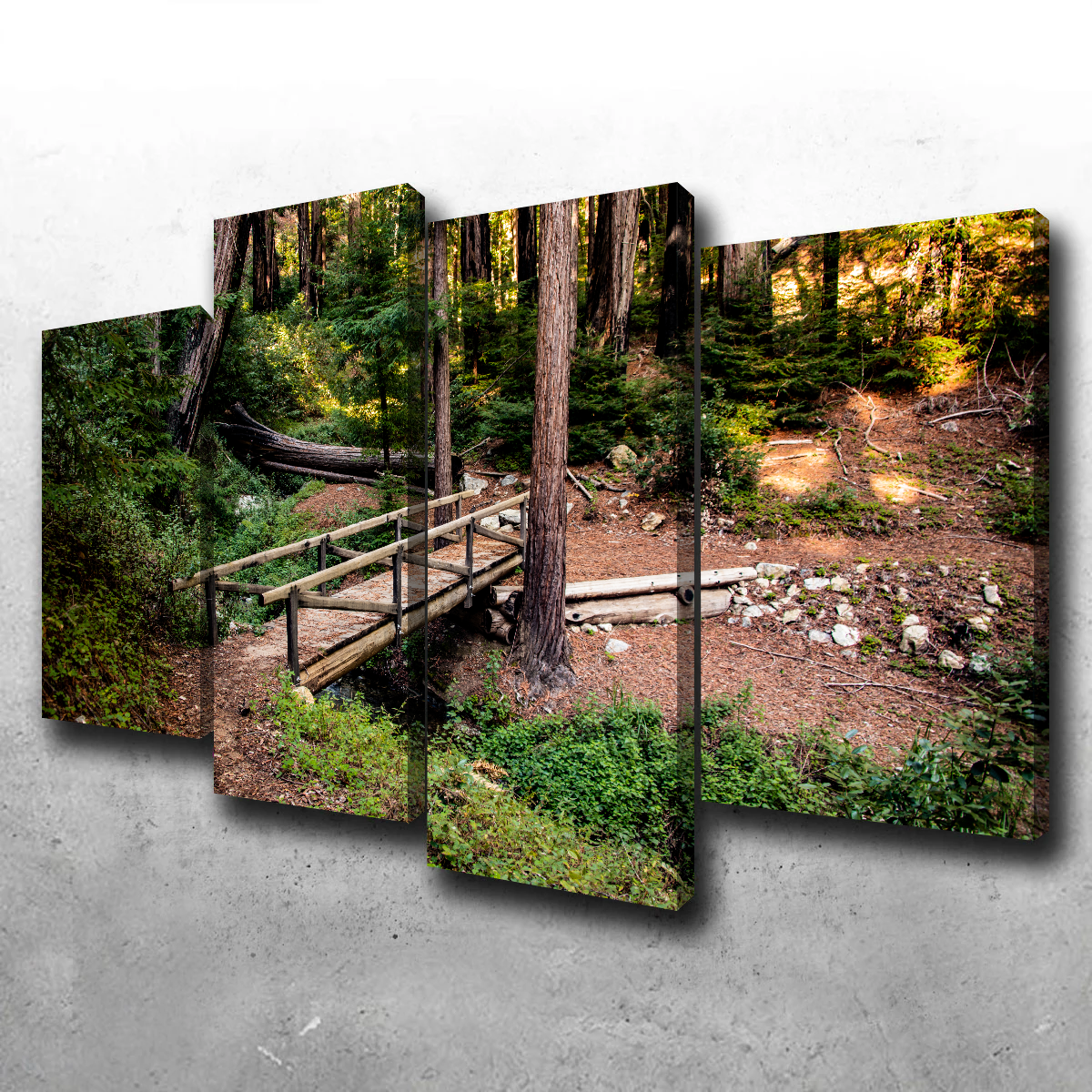 Ewoldsen Loop Bridge Wall Art