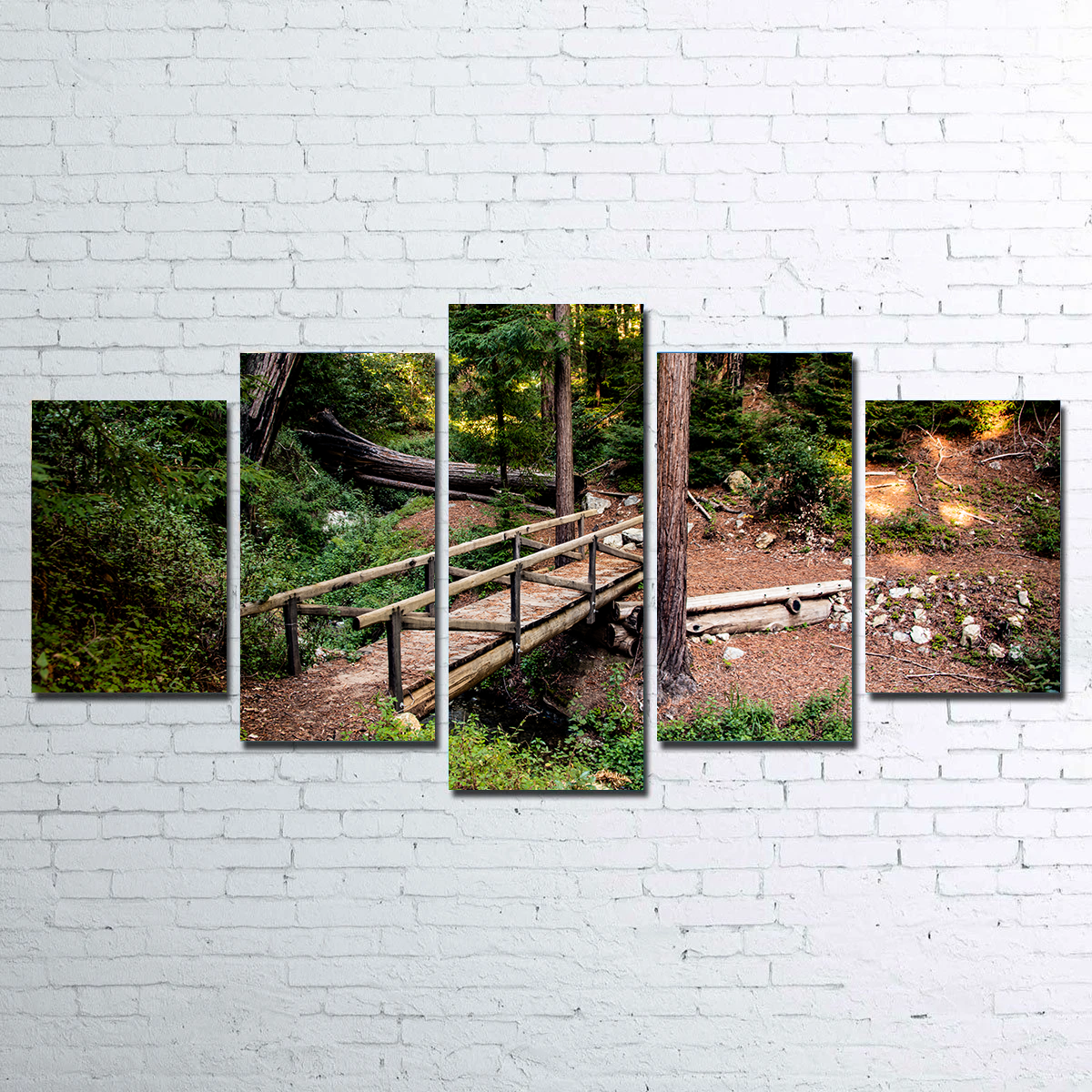 Ewoldsen Loop Bridge Wall Art