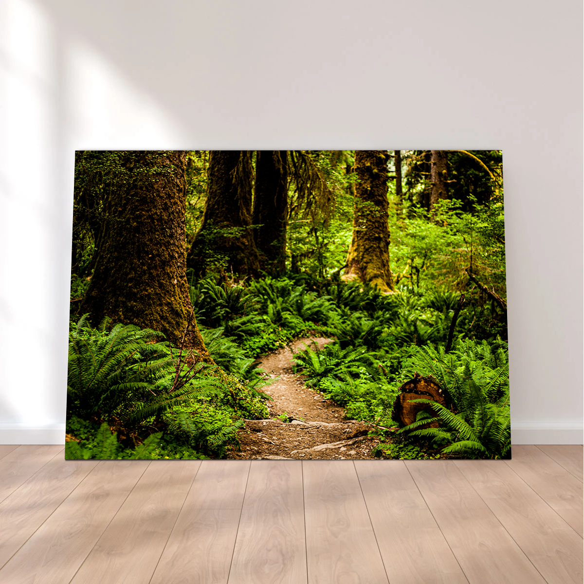 Hoh Rainforest Wall Art