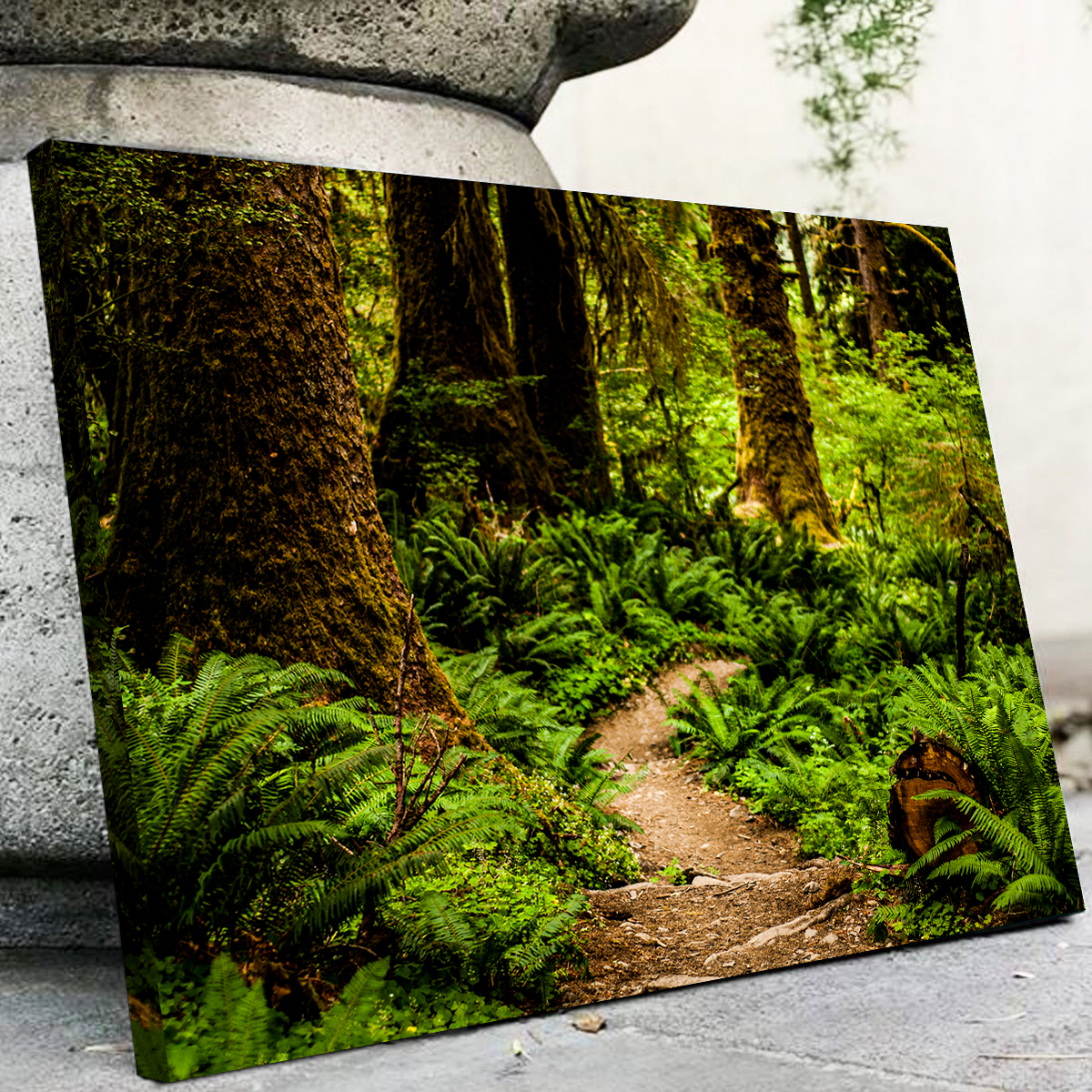 Hoh Rainforest Wall Art