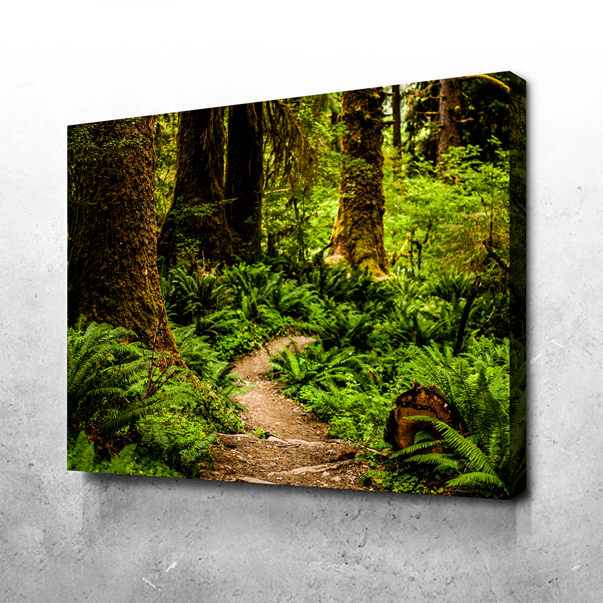 Hoh Rainforest Wall Art