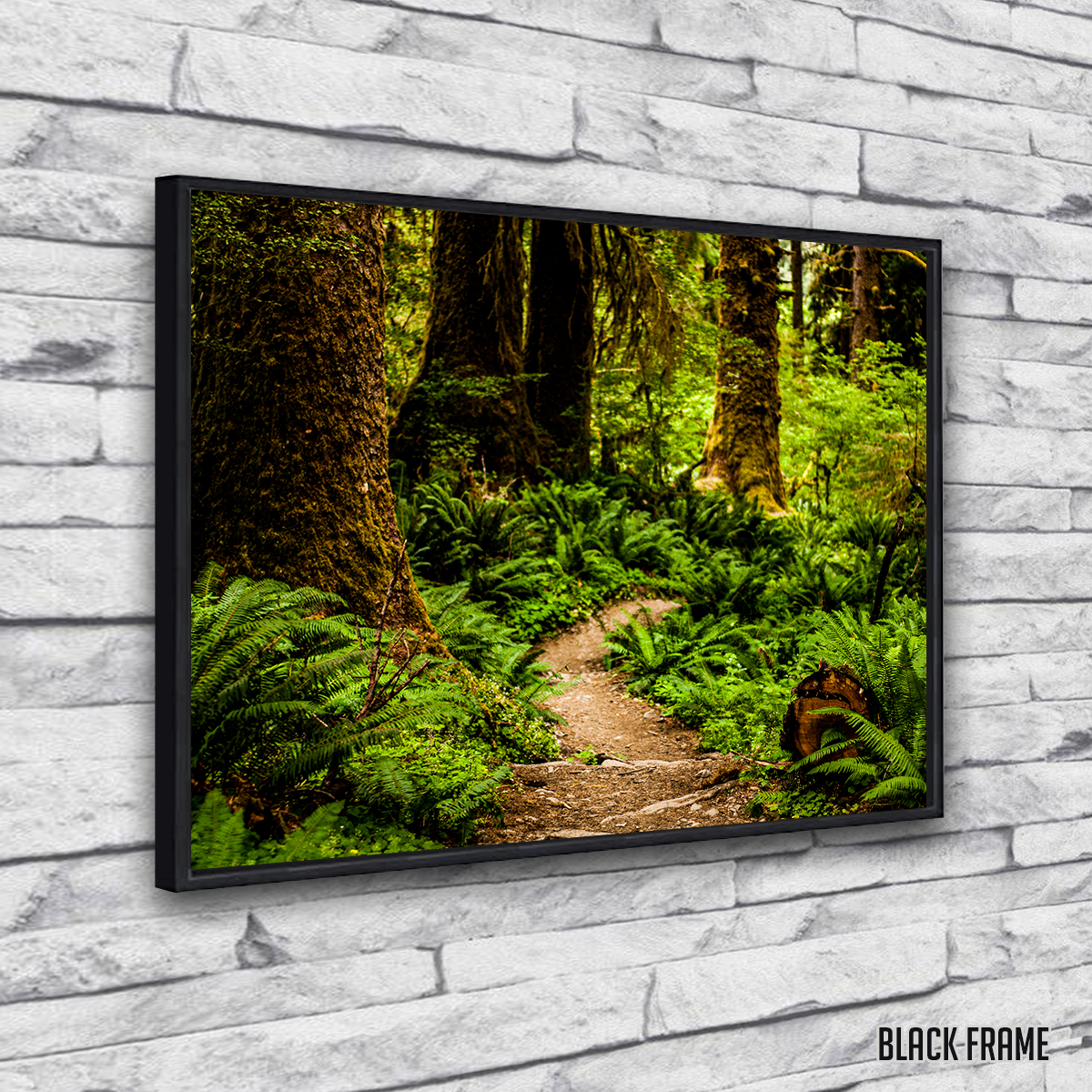 Hoh Rainforest Wall Art