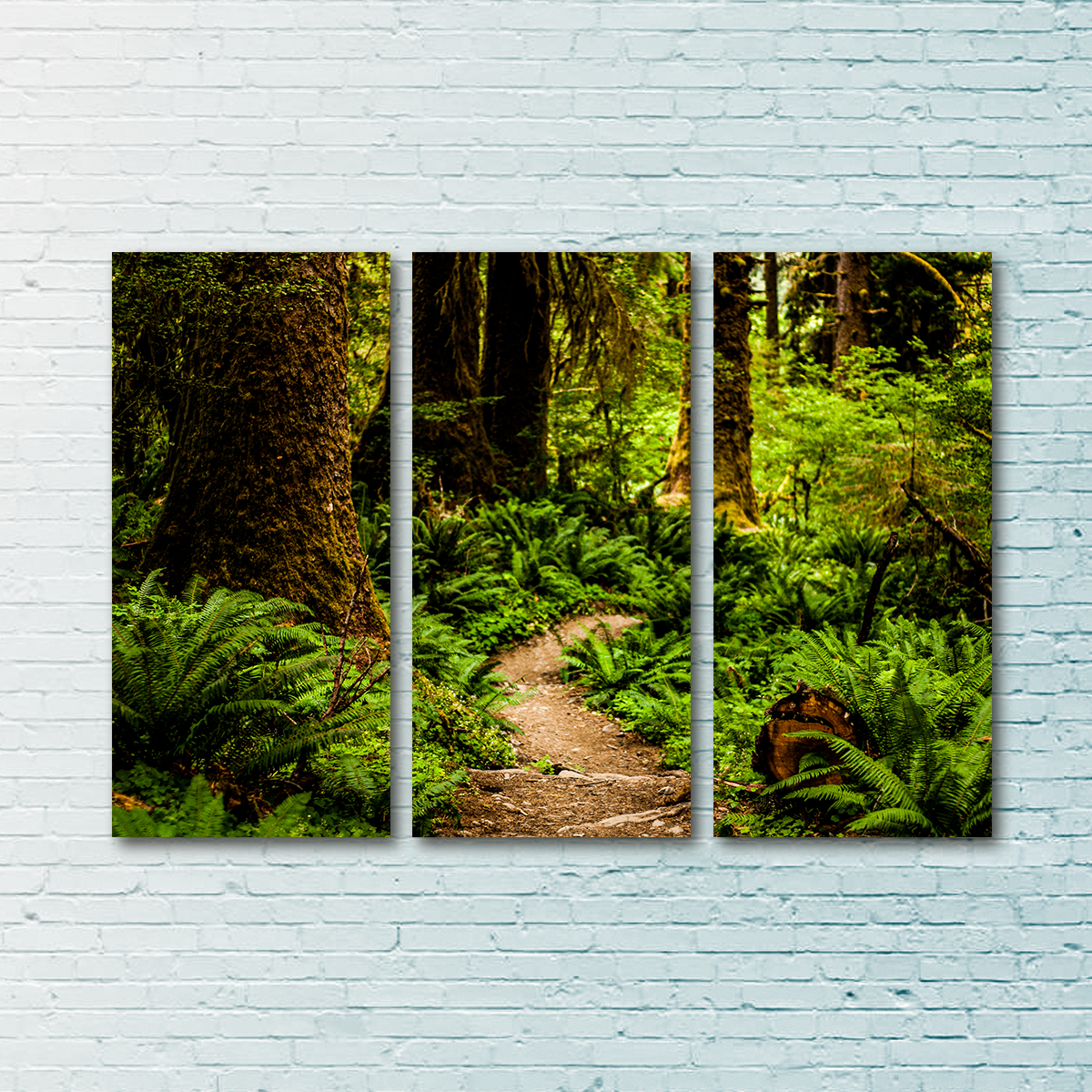 Hoh Rainforest Wall Art