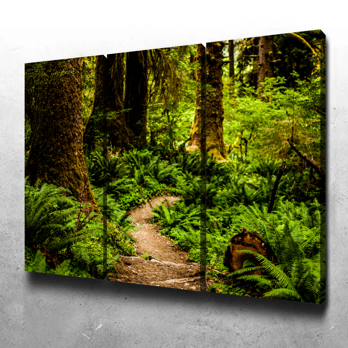 Hoh Rainforest Wall Art