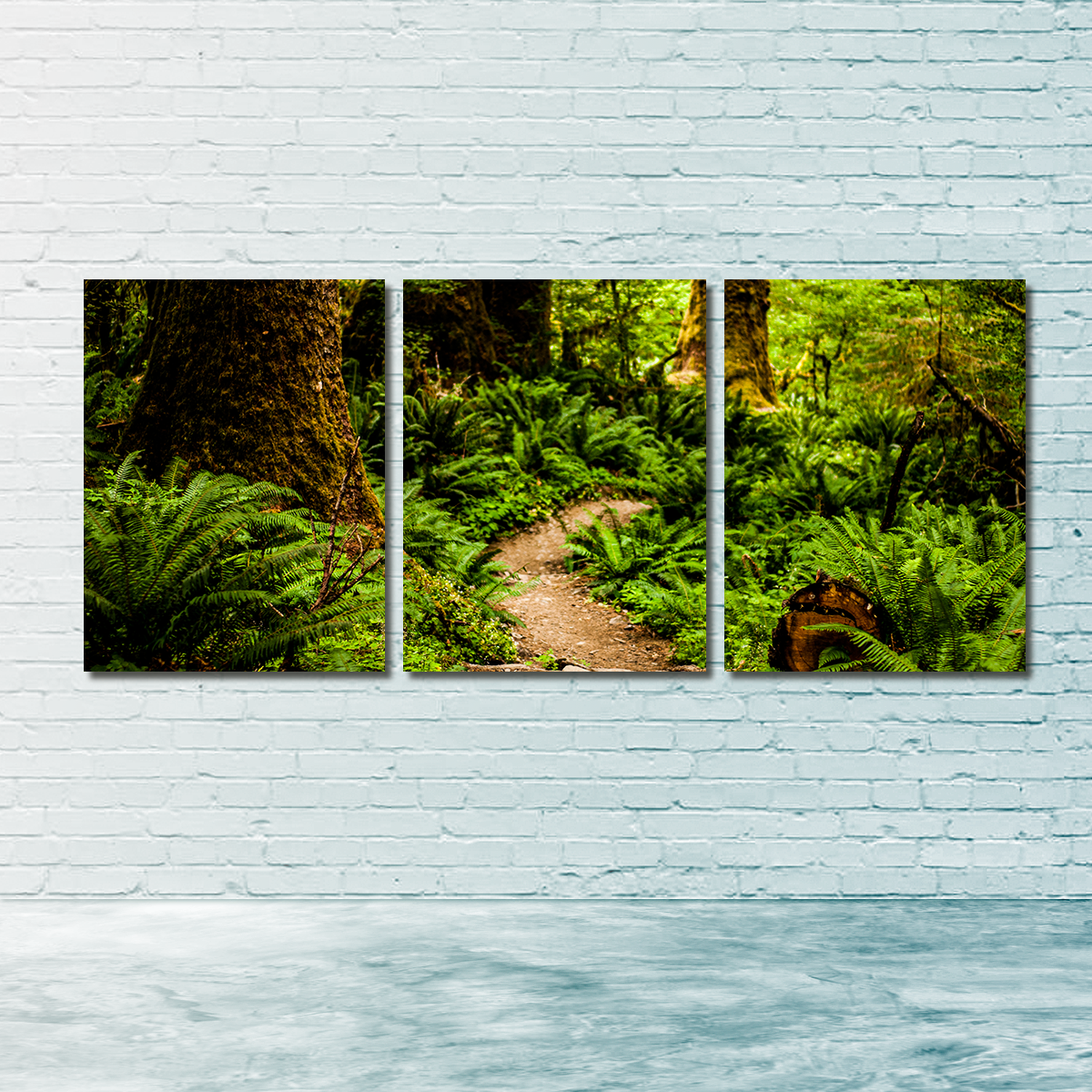 Hoh Rainforest Wall Art