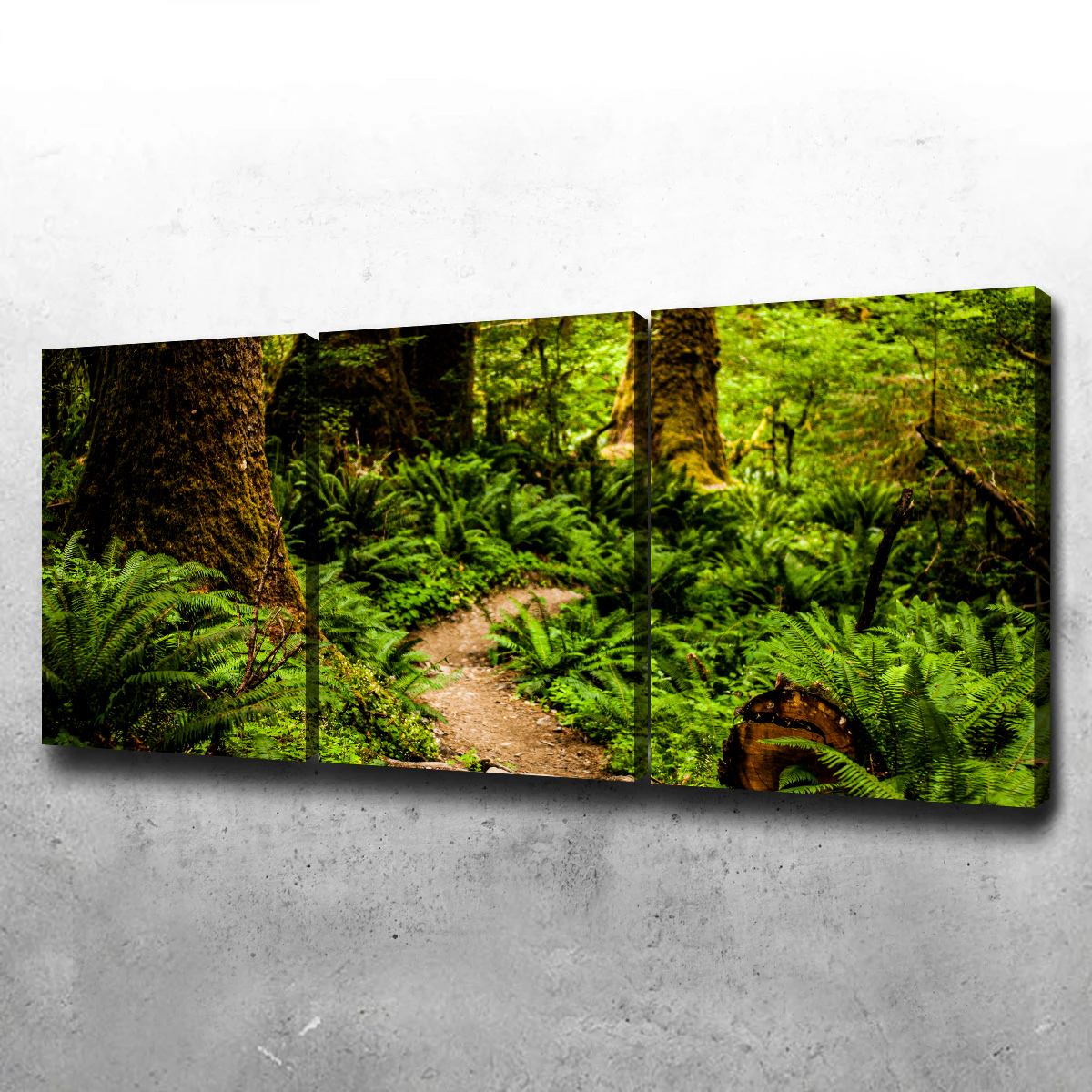 Hoh Rainforest Wall Art