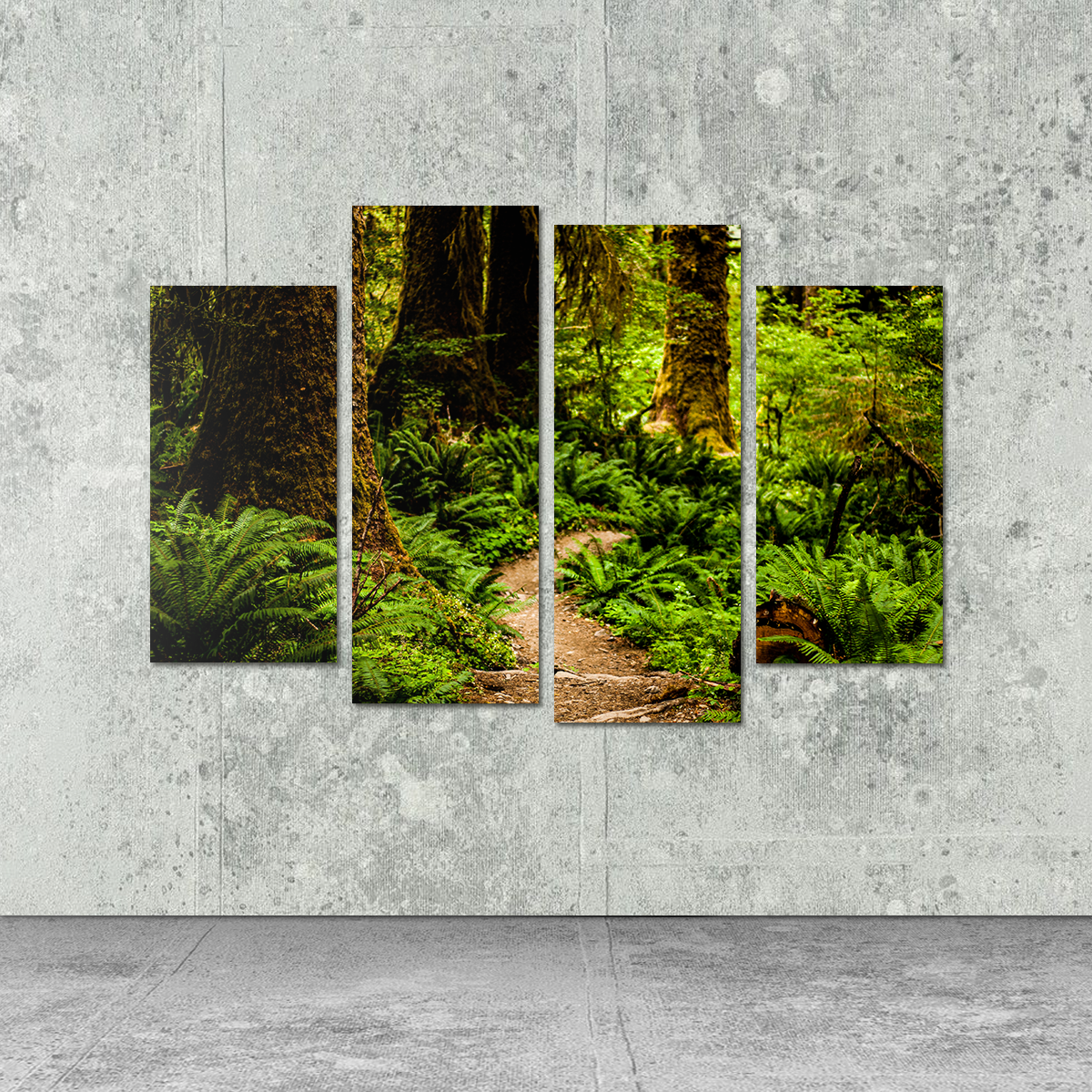 Hoh Rainforest Wall Art