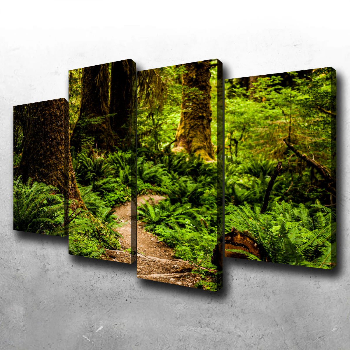 Hoh Rainforest Wall Art
