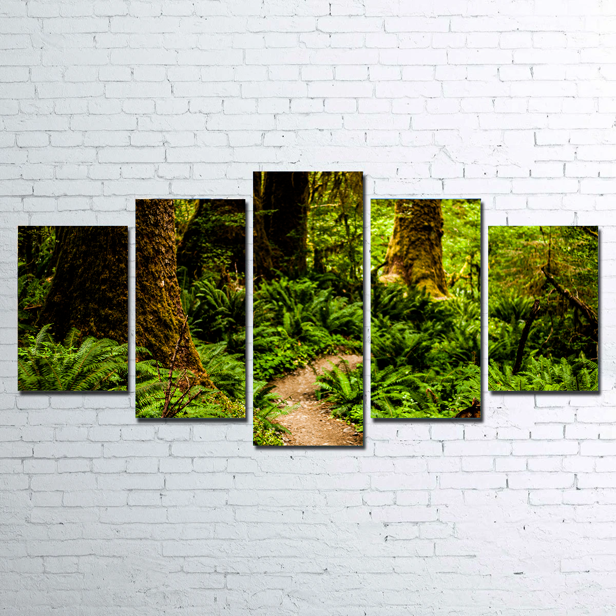 Hoh Rainforest Wall Art