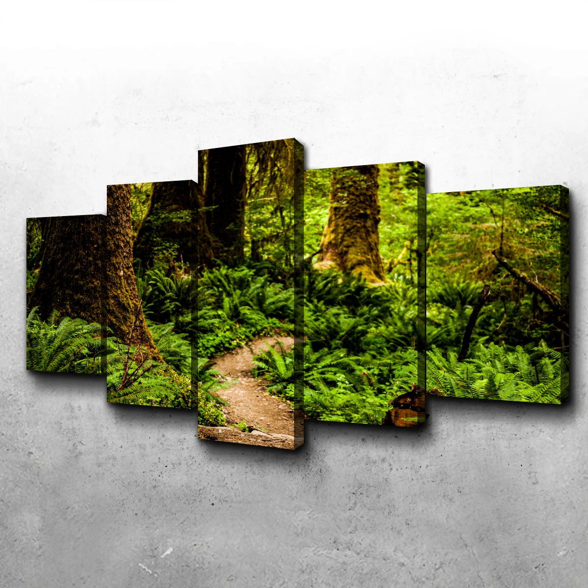 Hoh Rainforest Wall Art