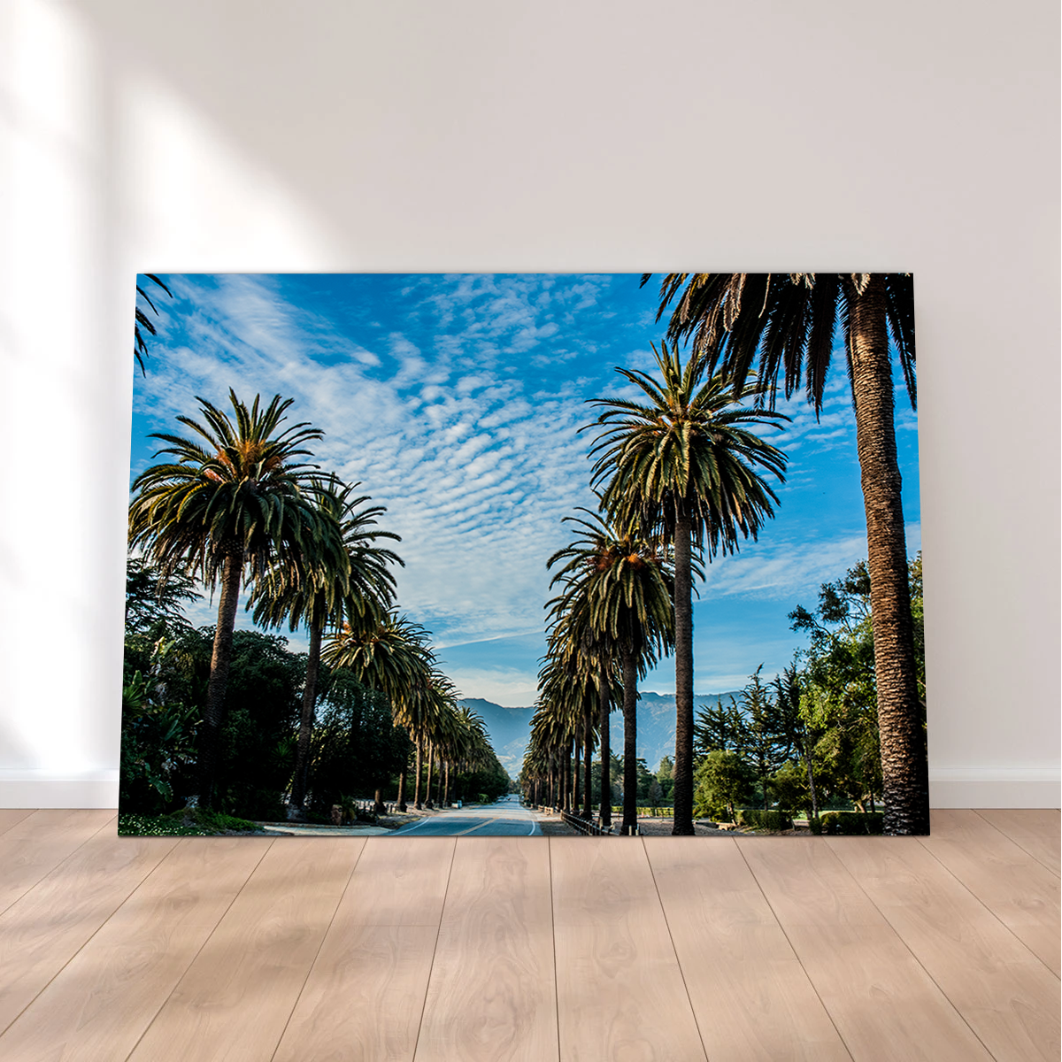 Hope Ranch Palm Drive Wall Art