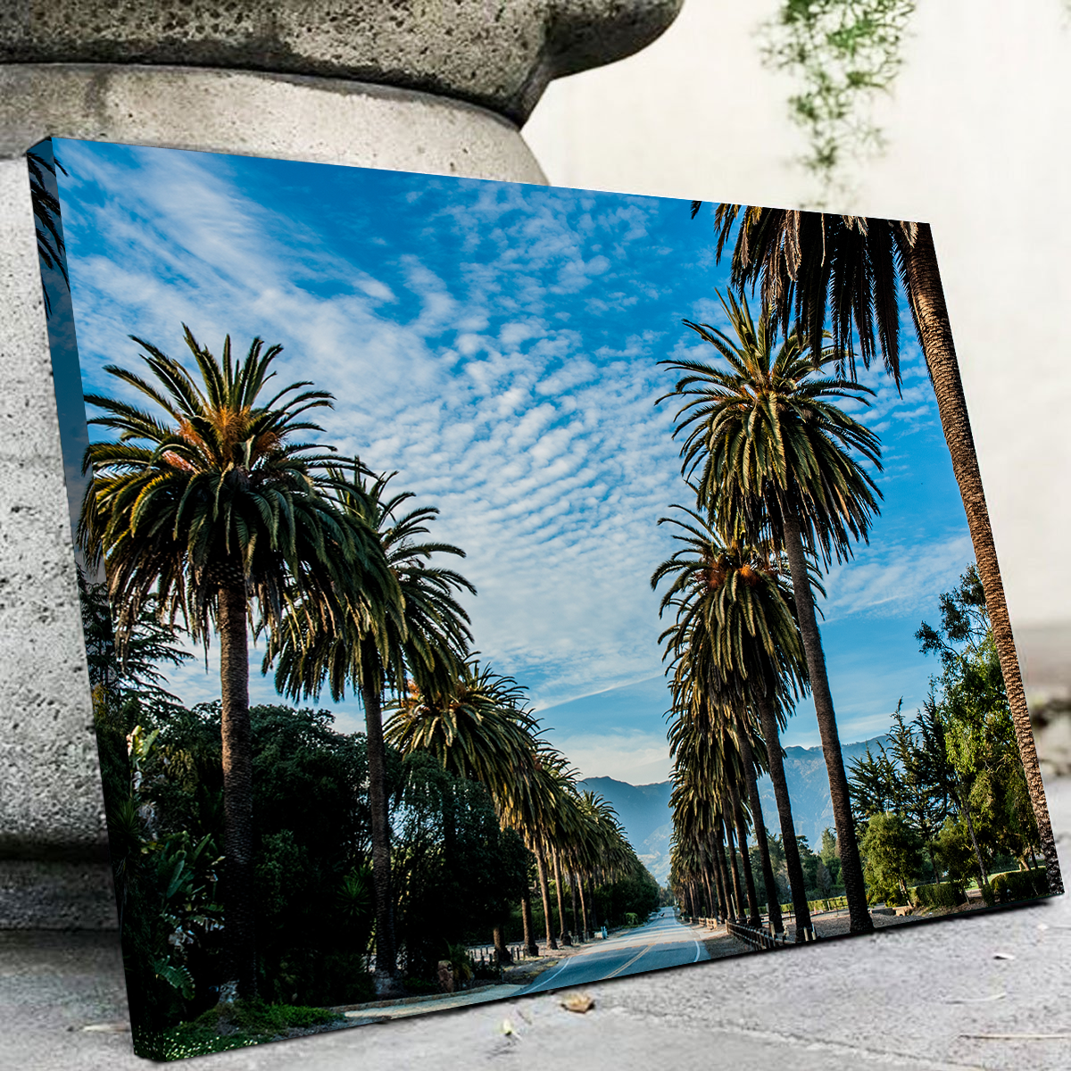 Hope Ranch Palm Drive Wall Art