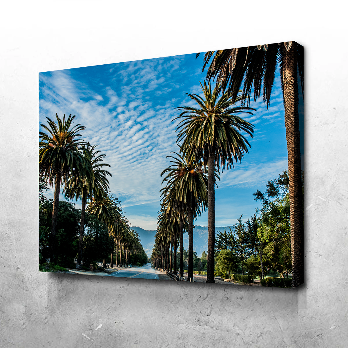 Hope Ranch Palm Drive Wall Art