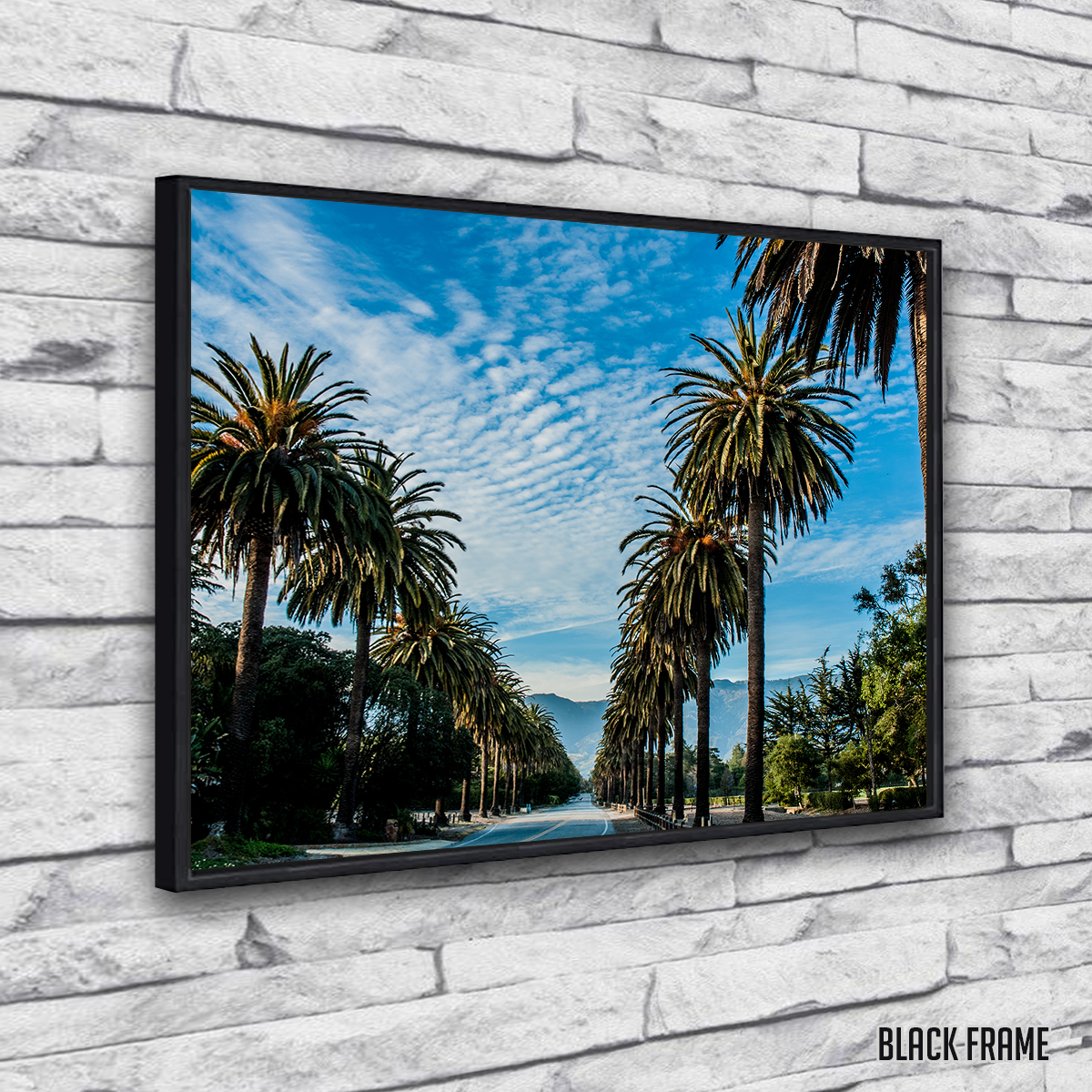 Hope Ranch Palm Drive Wall Art