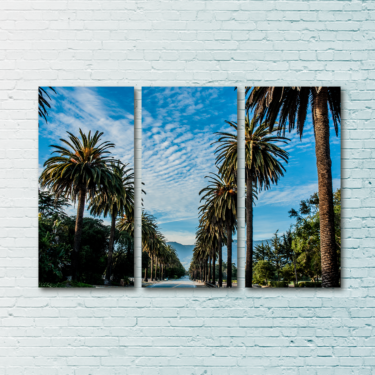 Hope Ranch Palm Drive Wall Art