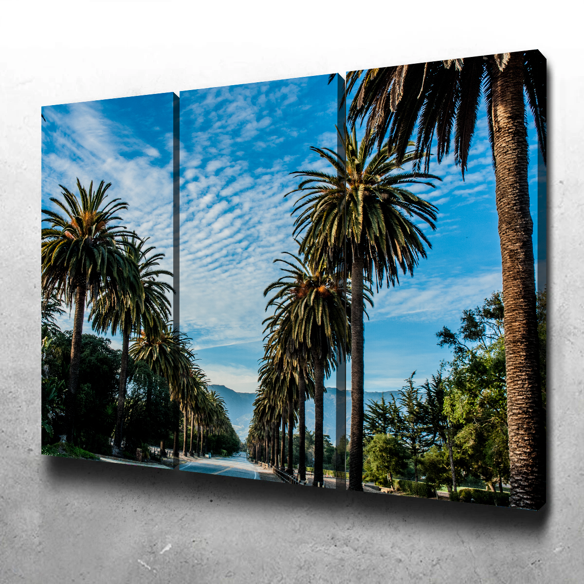 Hope Ranch Palm Drive Wall Art