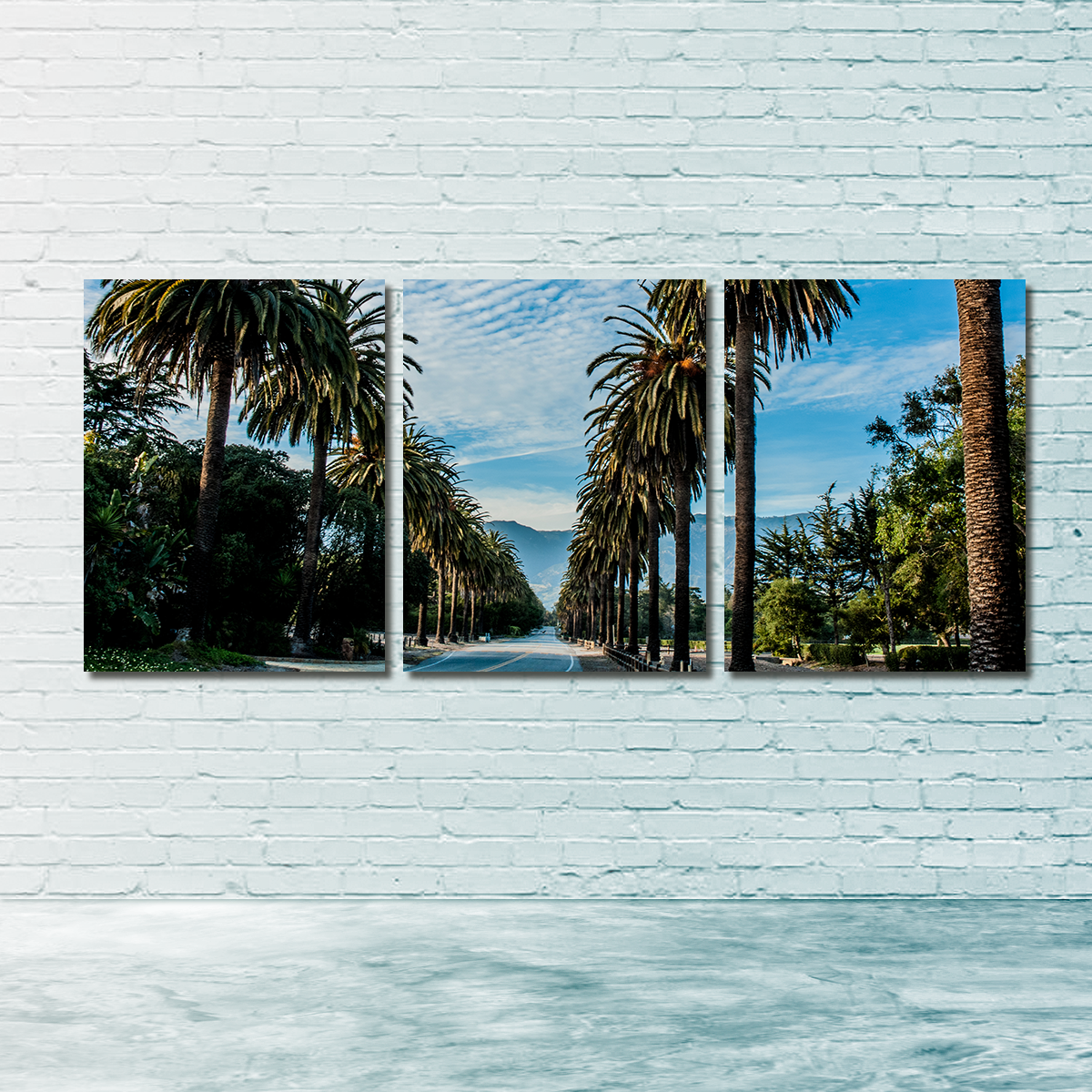 Hope Ranch Palm Drive Wall Art