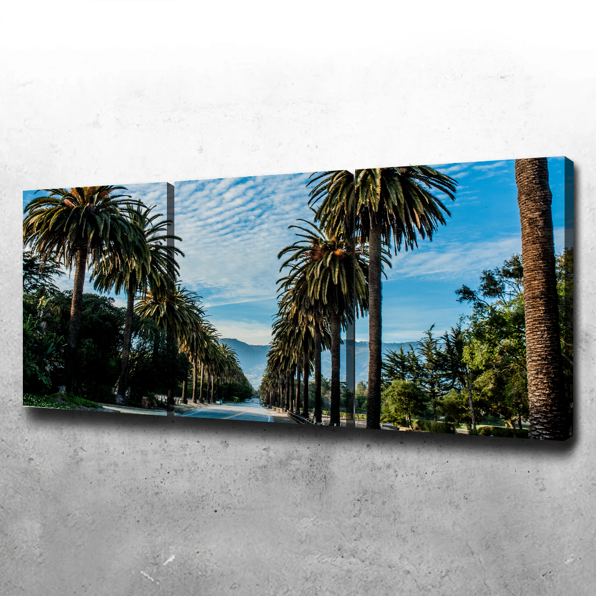 Hope Ranch Palm Drive Wall Art